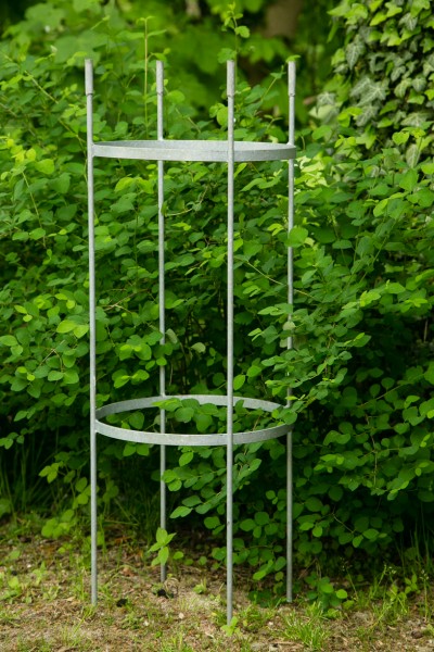 Rankgerüst Metall Zink H 300cm hoch