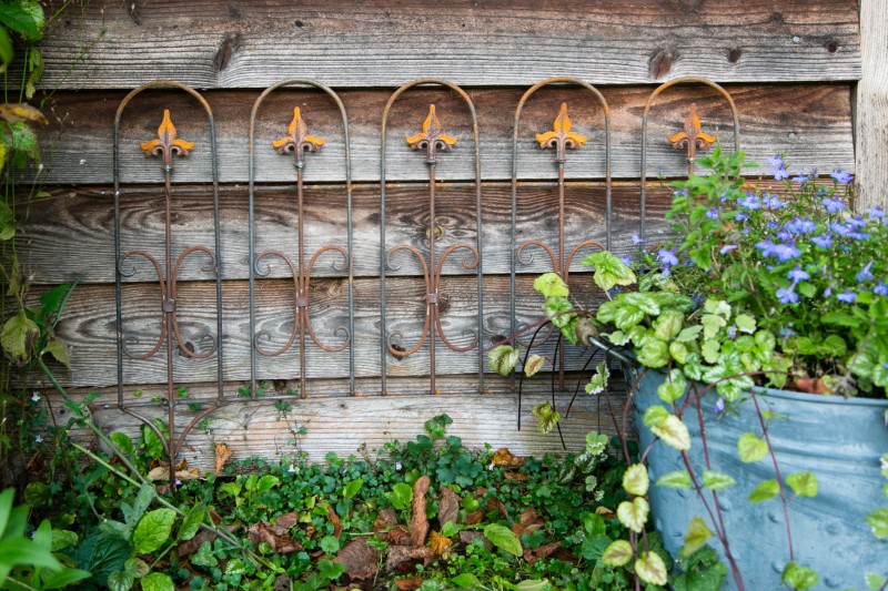Bauerngarten Bauerngarten