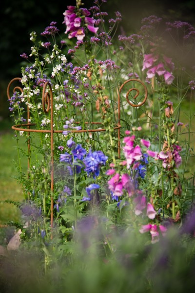 Staudenhalter sehen im Garten sehr schön aus