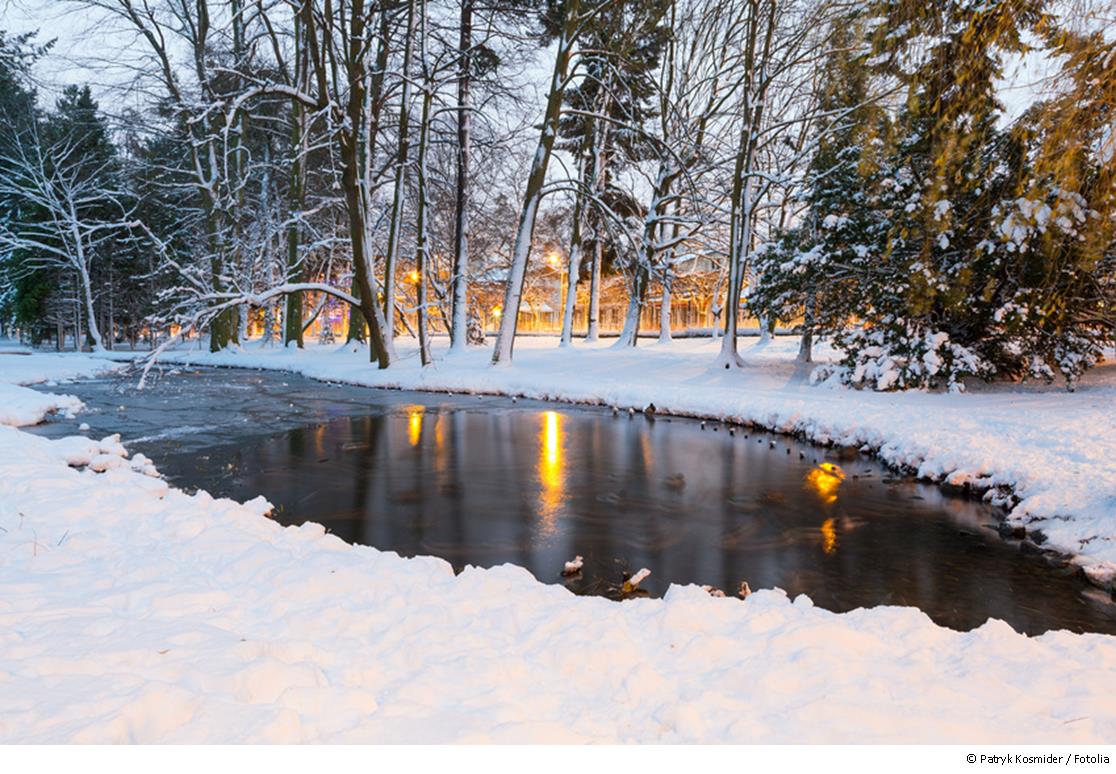 Gartenteich im Winter