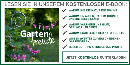 Jetzt E-Book Gartenfreunde von Kuheiga runterladen