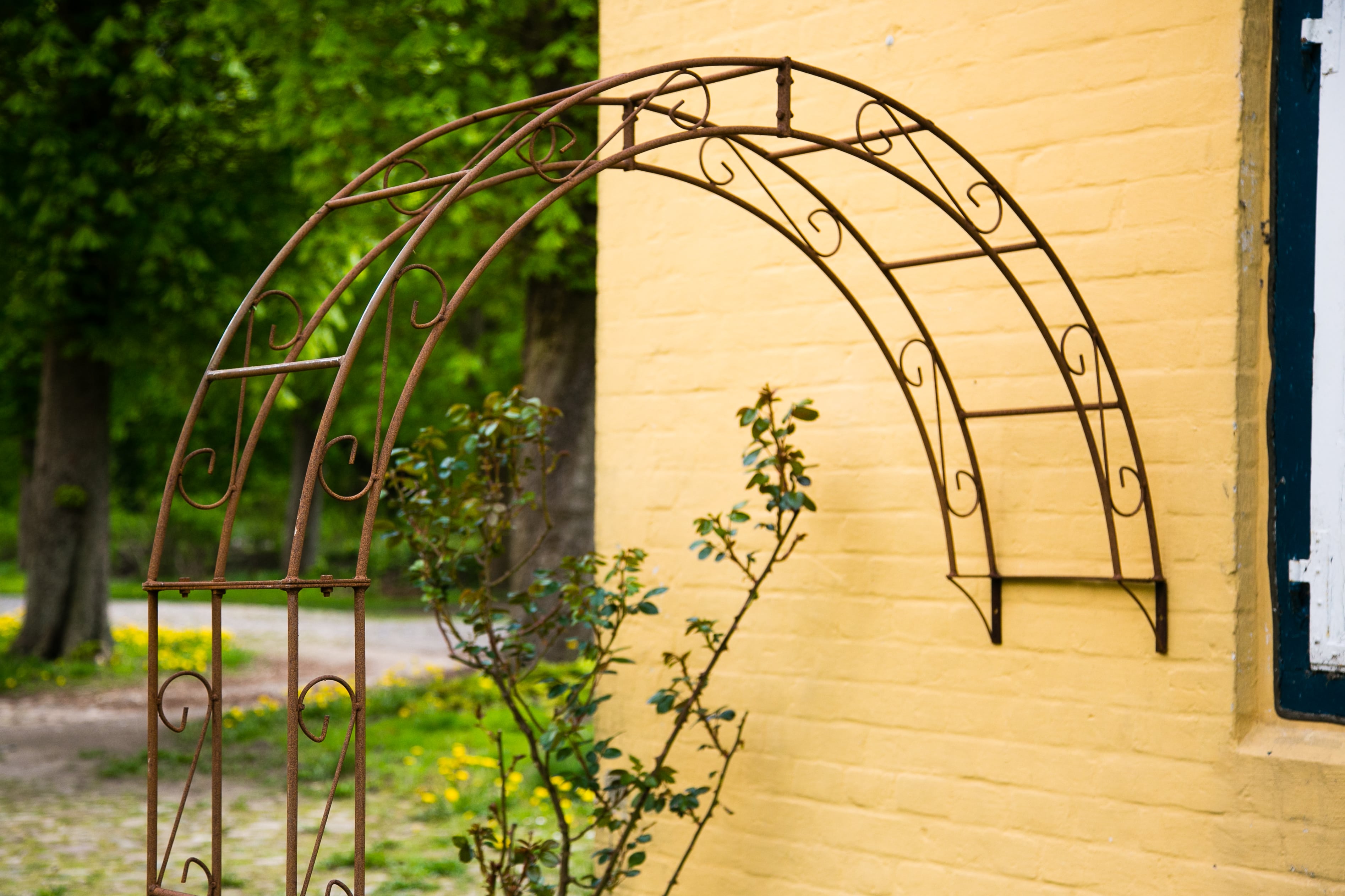 KuheigaRatgeber Wissenswertes und Tipps für Heim & Garten