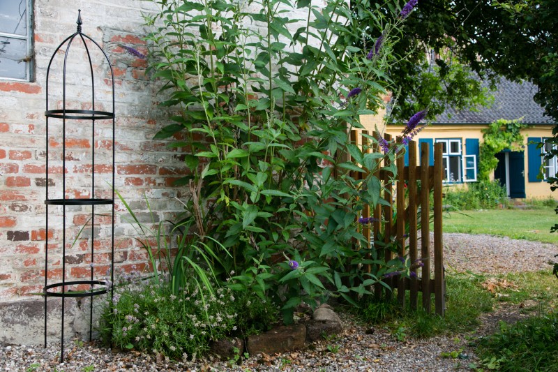 KUHEIGA Rankgerüst Aus Rost – Obelisk 200 Cm Hoch, 10 Mm Volleisen, Für Rosen & Kletterpflanzen, Inkl. Erdspieße