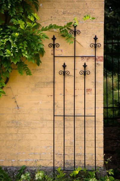 Rankgitter Metall Venezia Schwarz